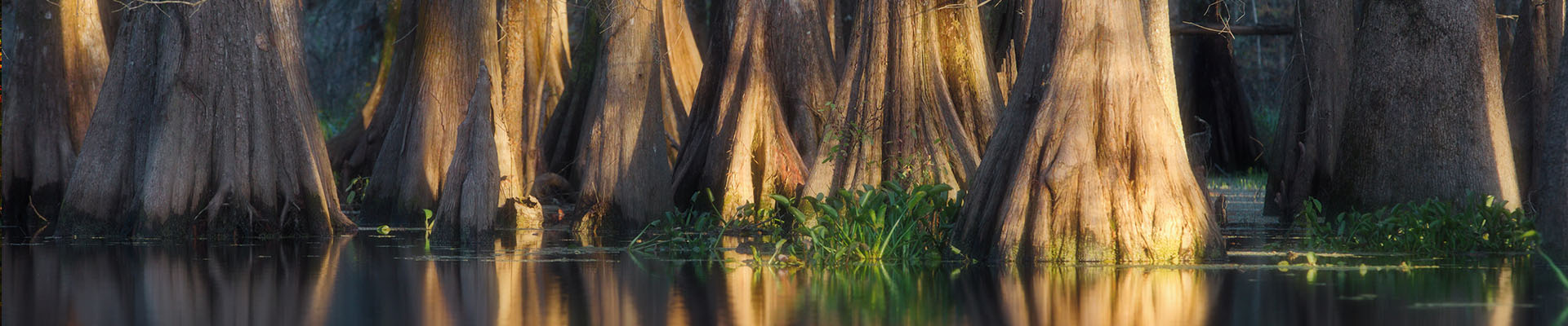 Hotels with Hot Tubs in Delaware