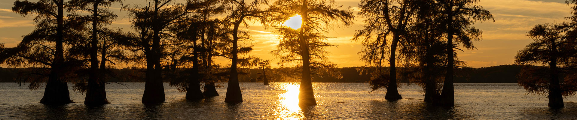 Hotels with Hot Tubs in Louisiana