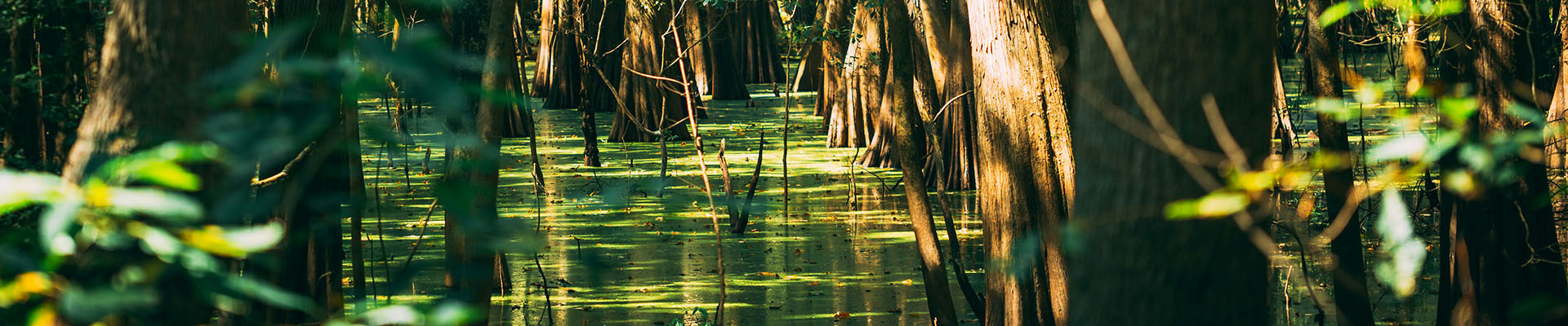 Hotels with Hot Tubs in Mississippi